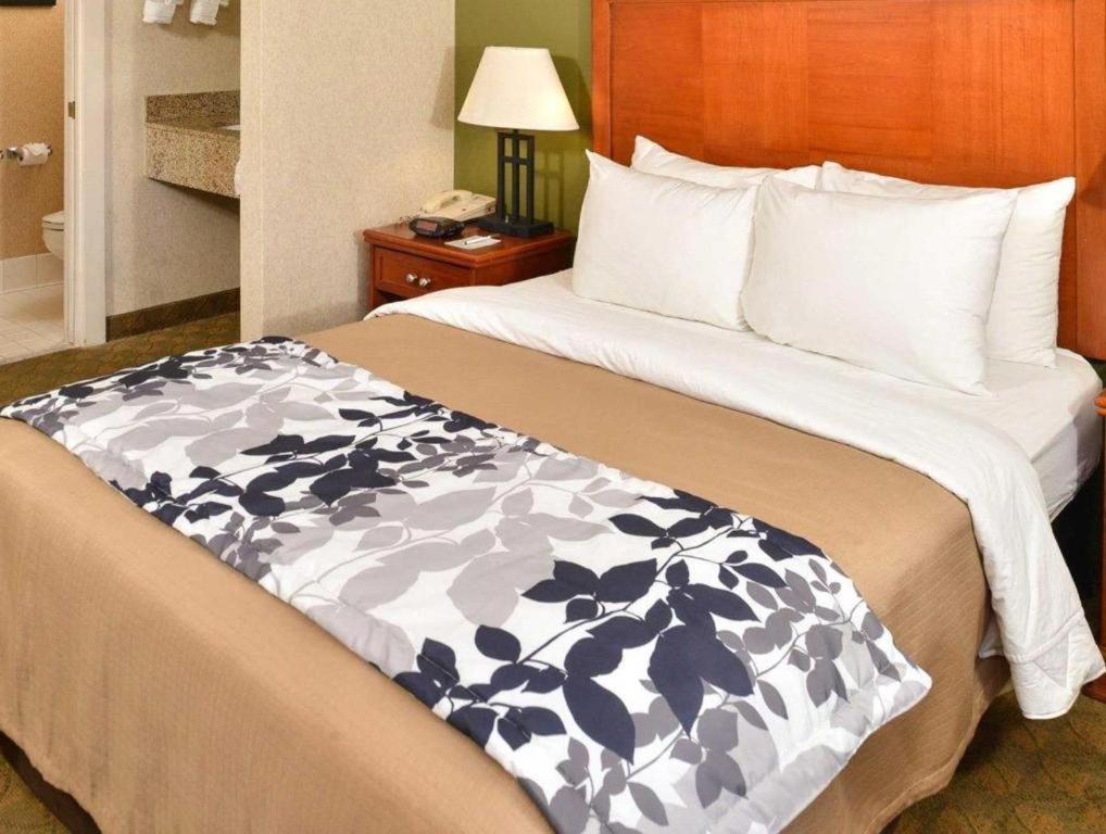 Sleep Airport 2* Phoenix
