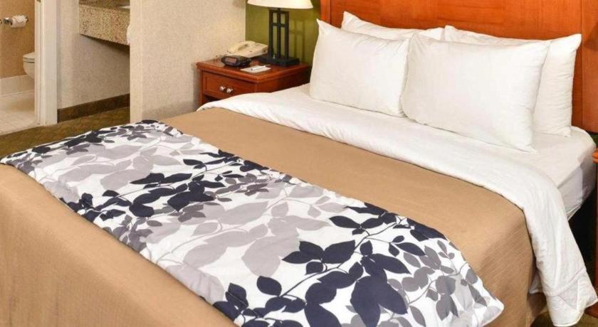 Sleep Airport Hotel 2*